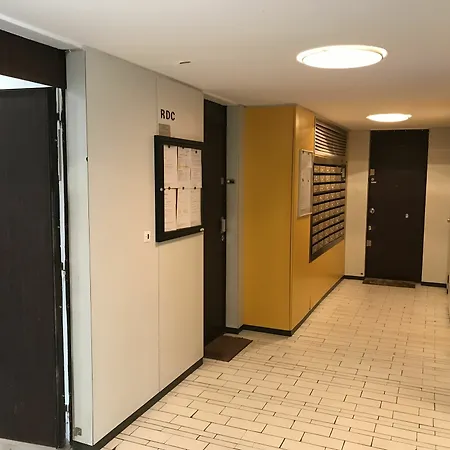 Beau Au Centre De 巴黎